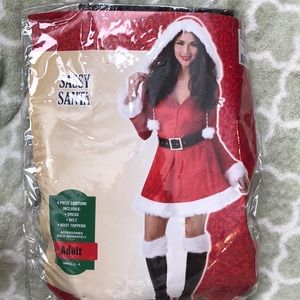 Sassy Santa Costume